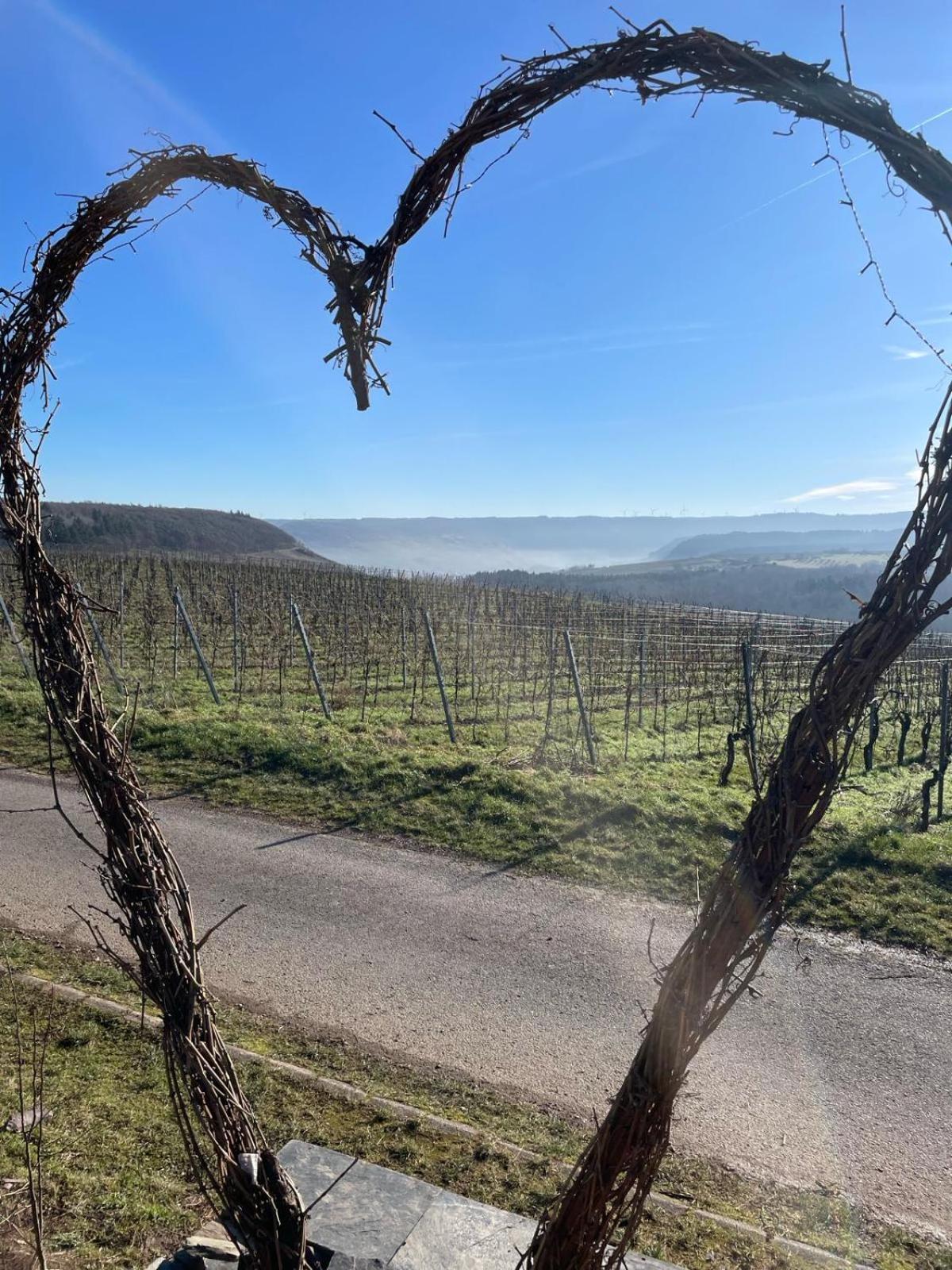 Neue Fewo Mit Schlossblick - Urlaub Im Wein- Und Ferienort Bekond Zewnętrze zdjęcie